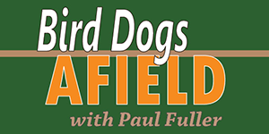 Bird Dogs Afield